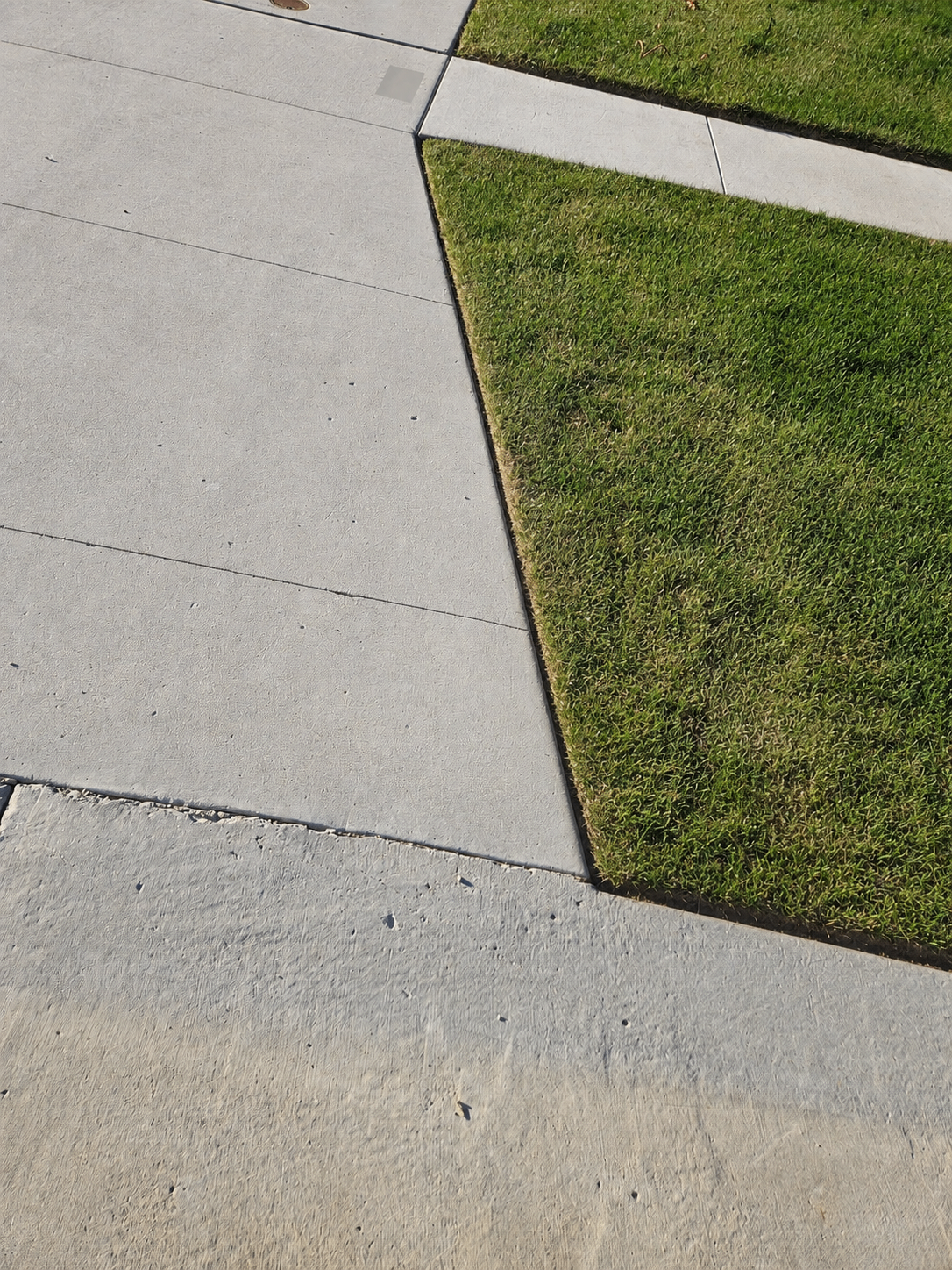 Before edging photo